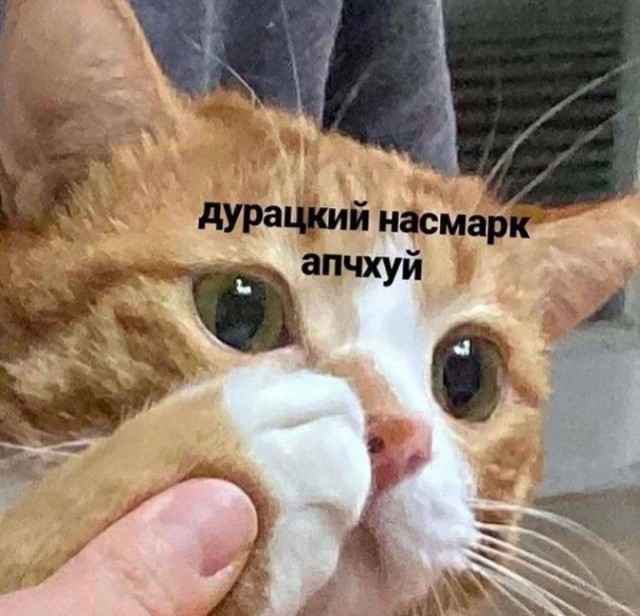 Всего понемногу. От 21.01.24
