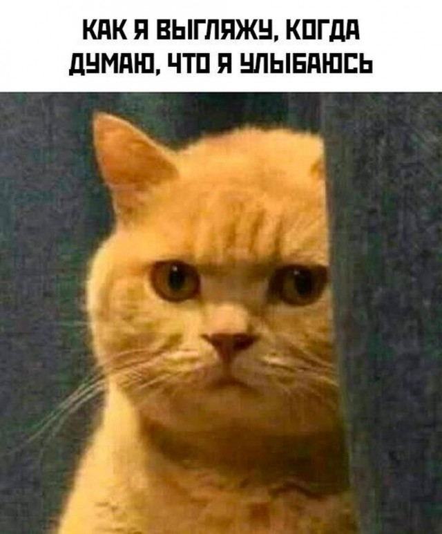Всего понемногу. От 29.01.24