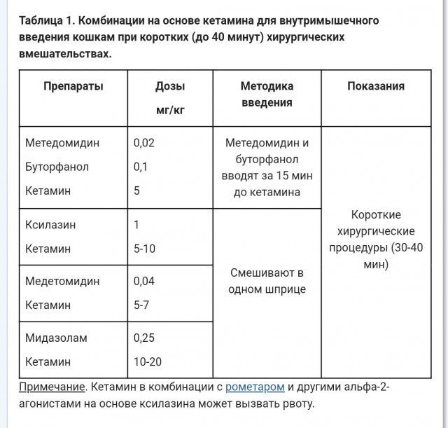 Веселая ферма. Кошка из капкана