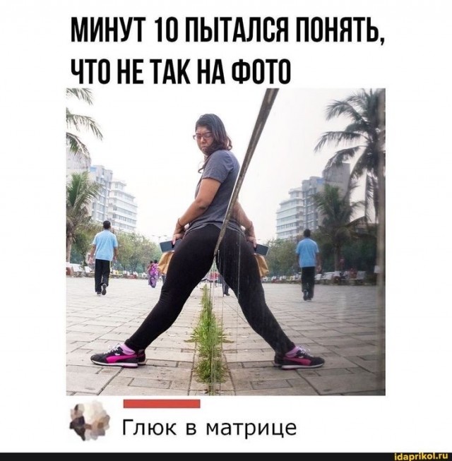 Три десятка забавных картинок на экватор недели