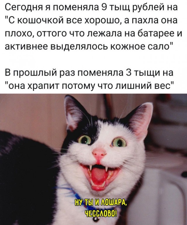 Весёлый полтишок 04.03.24