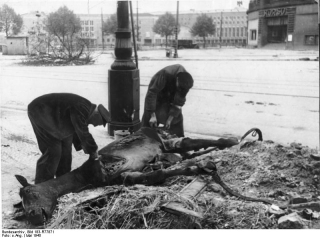 1945 год в 84 фотографиях