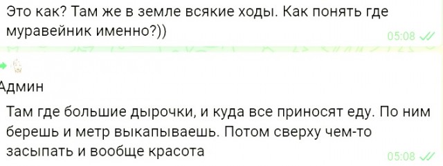 Hello Camper – месть Оргов.