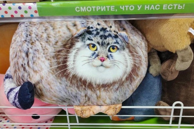 Народная меДИЧина 5001