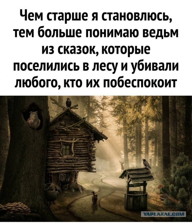 Весёлый полтишок 27.08.24