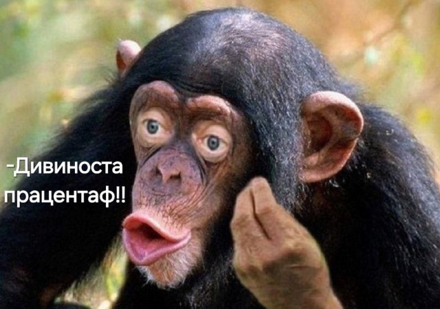 Явка на выборы через ДЭГ в 25 регионах составила 90%