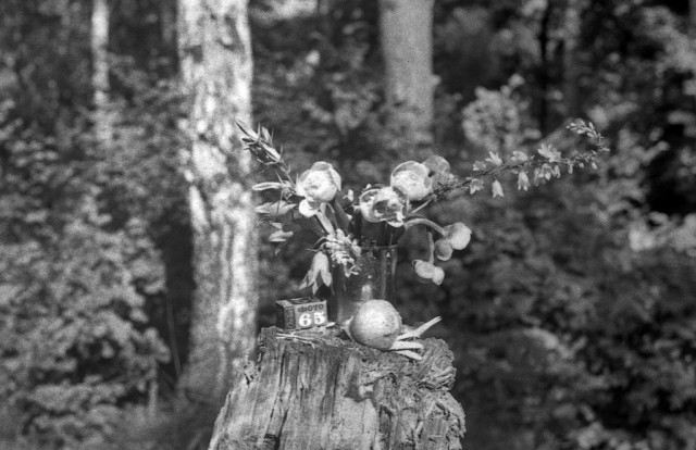 Без фильтров–2. Любительская фотография 70-х (02.02.25)