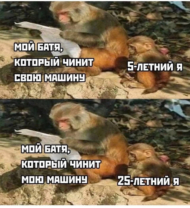 Весёлый полтишок 16.04 25.