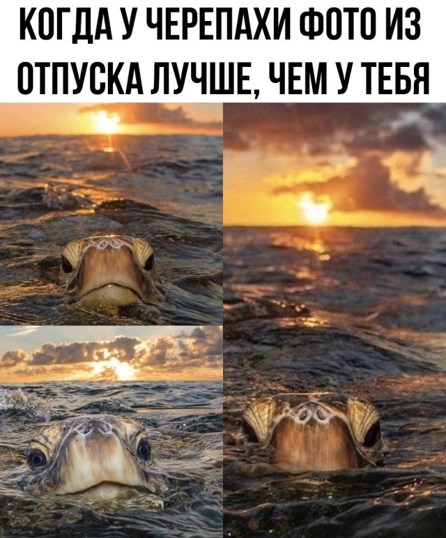 Завалялось тут случайно немного забавных картинок