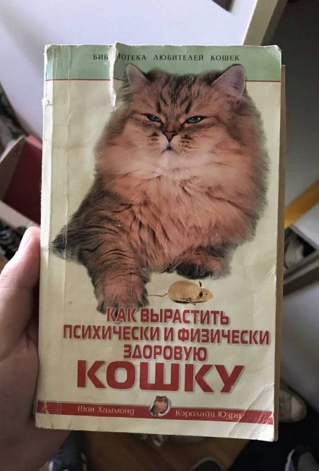 Немного ассортити....