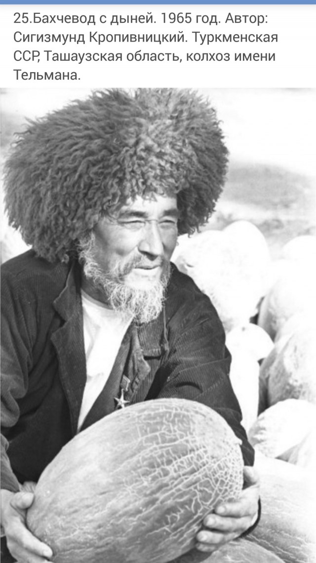 Арбуз или дыня