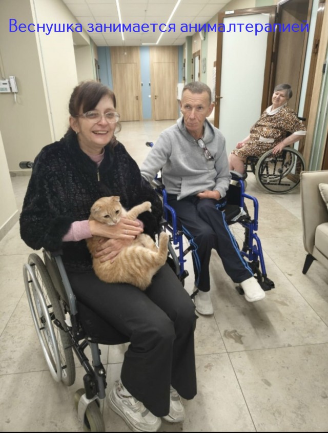 Жизнь домашнего приюта "Котоленд" 515