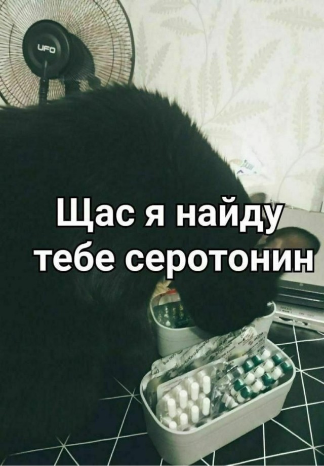 Картинки 15 октября