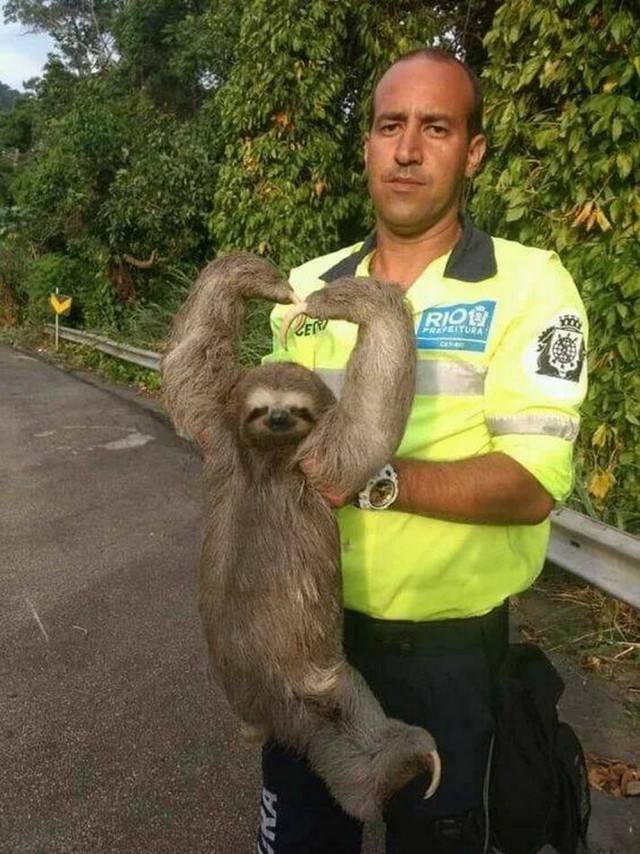 Эх пятницо картинки же