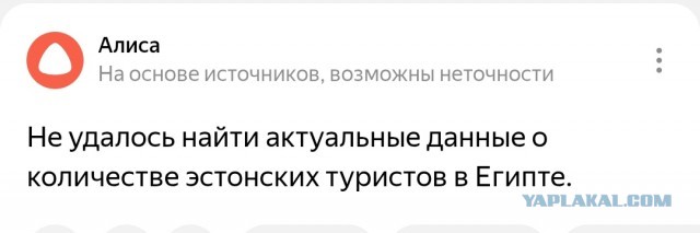 Эстонские туристы, отдыхающие в Египте, были возмущены тем, что их гид не говорит на эстонском языке.