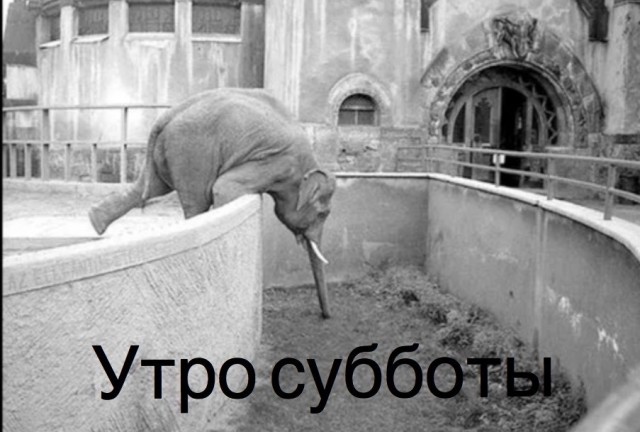 Веселое настроение в картинках (19.11.2025)