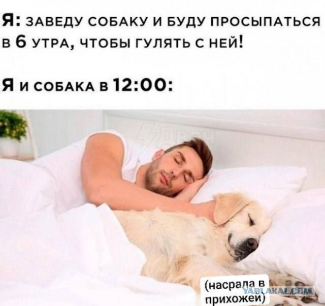 Забавные и не очень скромные картинки - 18