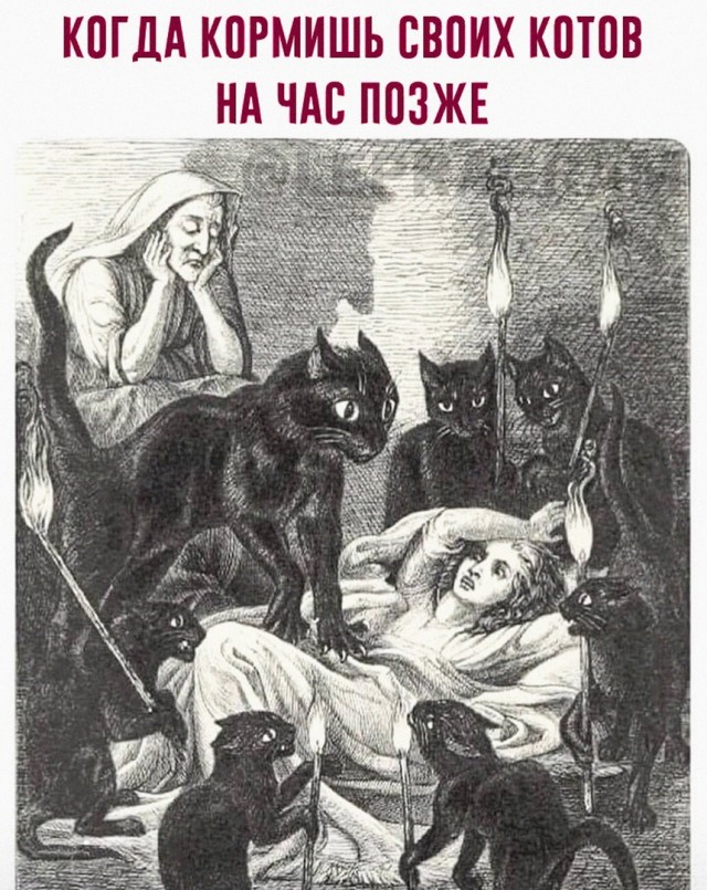 Картинки для деградации 115 (разной степени свежести)