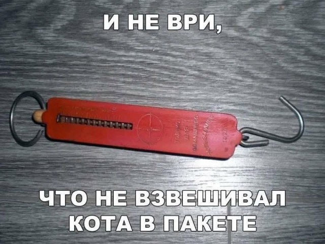 Среды картинки