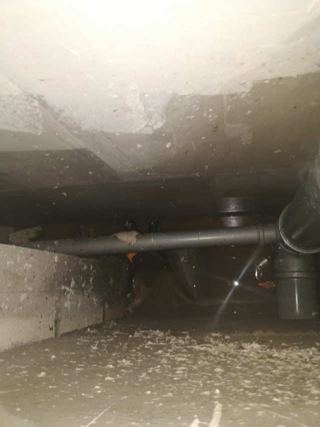 Греб говно за соседями, после нового года