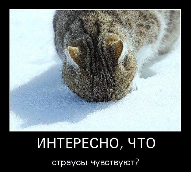 Вторника картинки