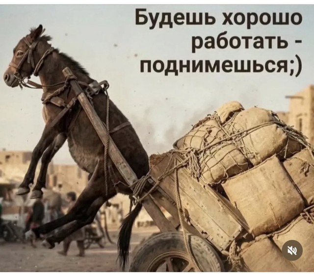 Картиночки, баянчики 21 марта