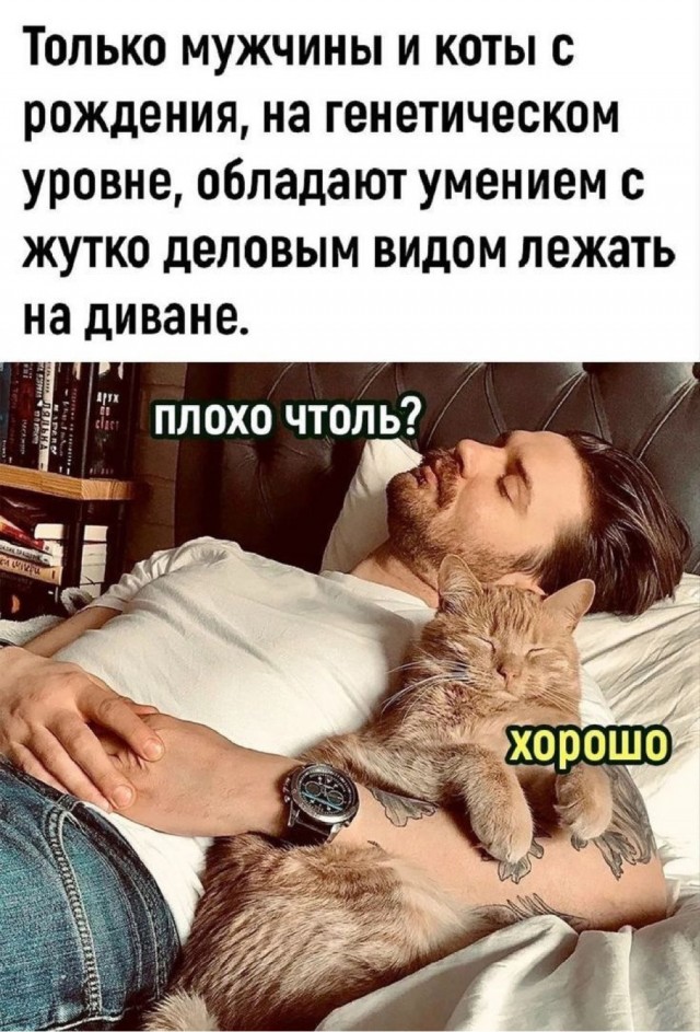 Субботние картинки