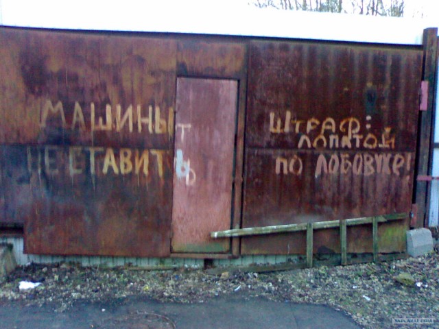 Смешные картинки, снятые на мобильник