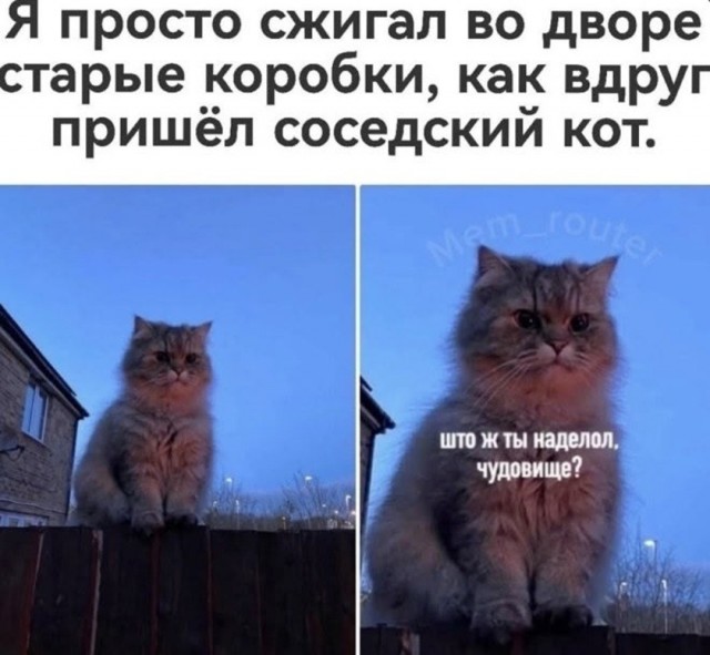 Так себе картинки 01.09.26