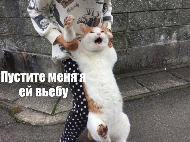 Убил бы