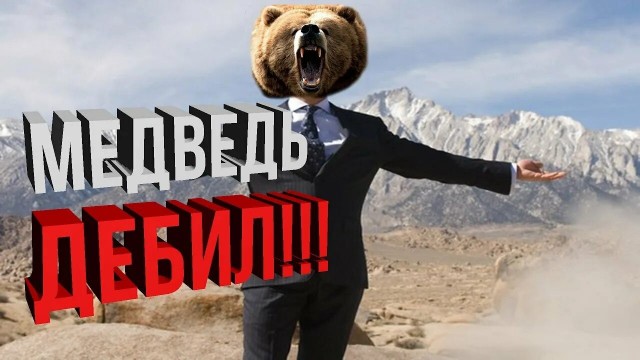 Опять про медведей.