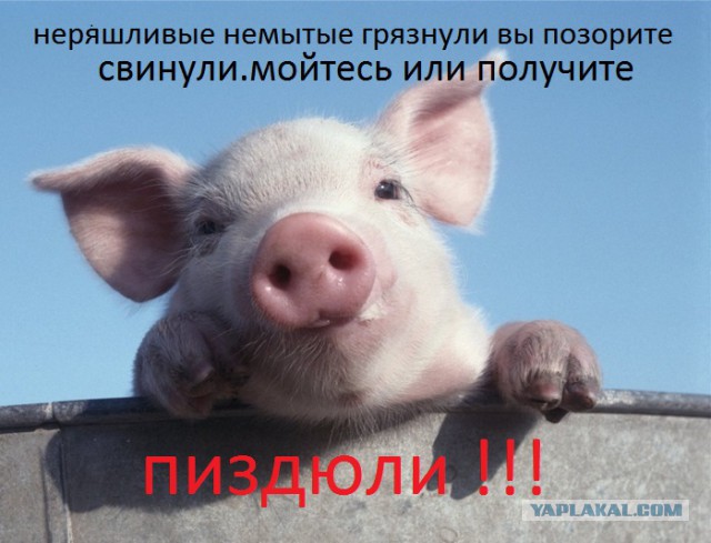 Ученые доказали, что лежать на диване...