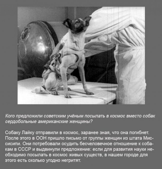 Интересные факты обо всем