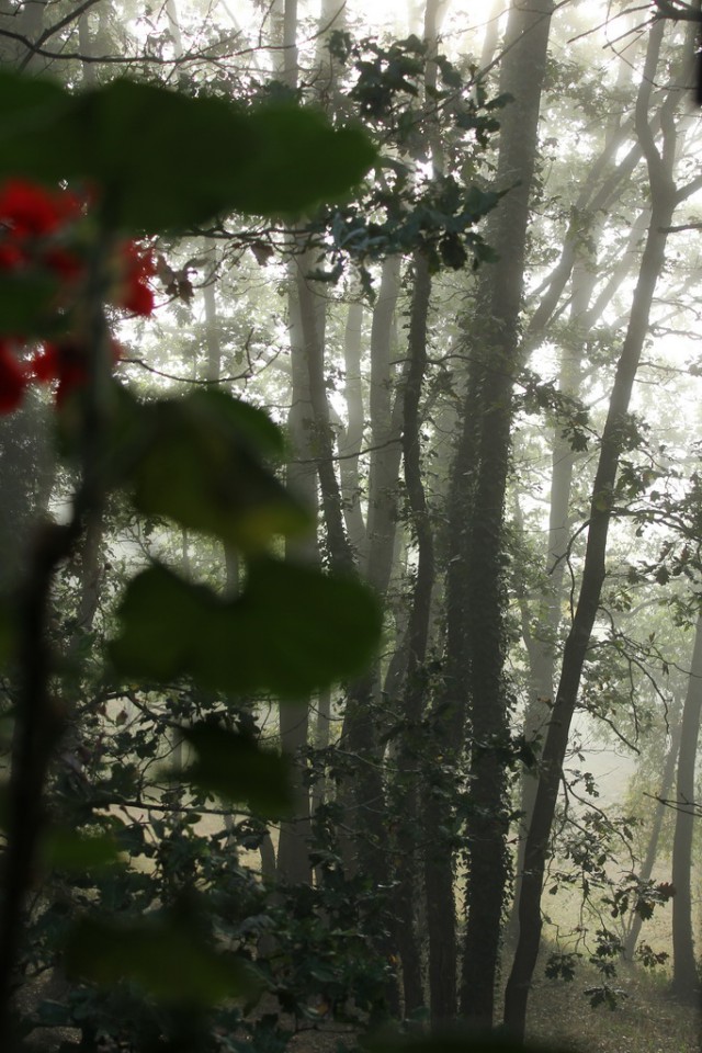 А что у Вас сейчас?