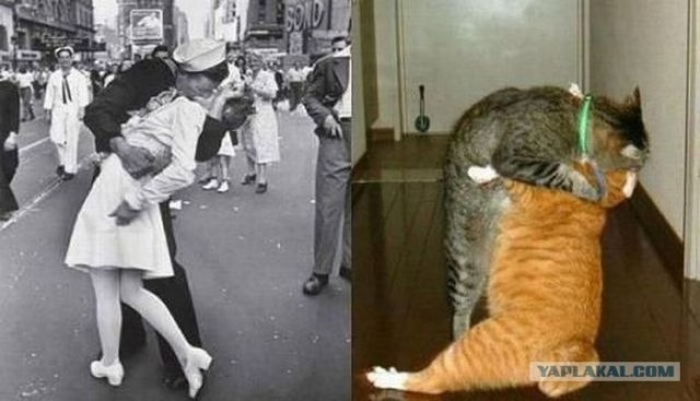Коты и искусство