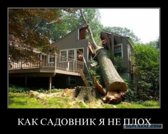 Не убежал