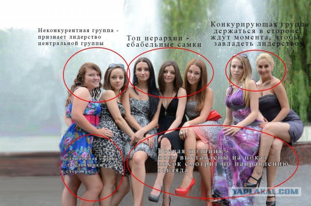 В мире животных
