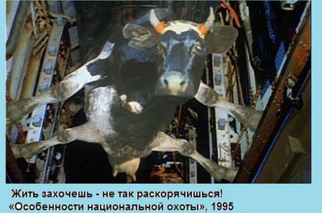 Крылатые фразы из Великих фильмов Советского Союза