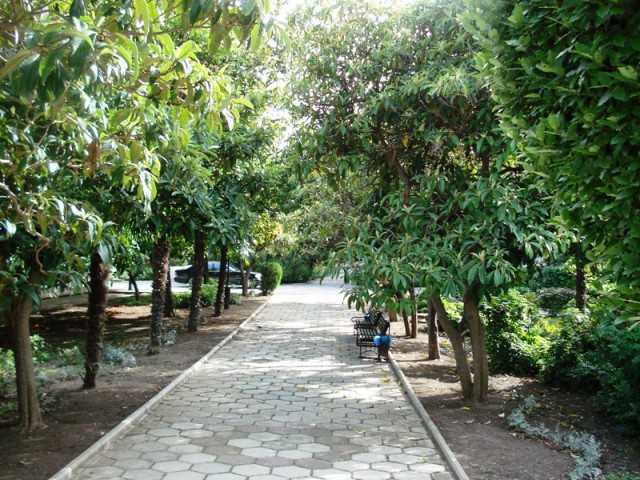 Артек, "ужасы" российской действительности