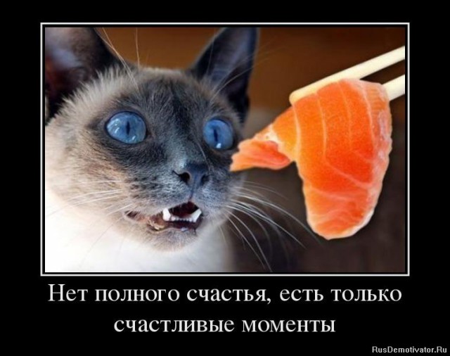 Демы без Темы