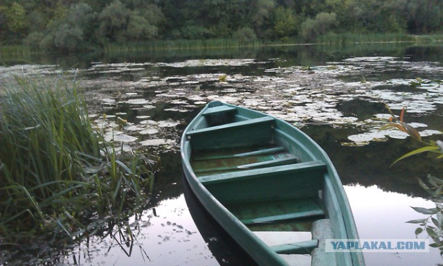 Дачные приколы