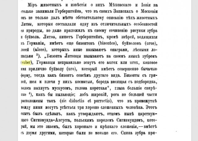 Беларусь или Белоруссия