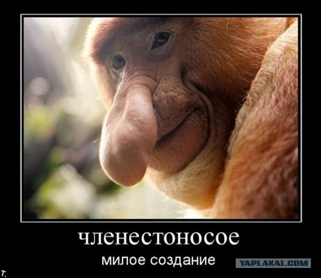 15 самых отвратительных животных, при виде которых вы обязательно скажите “Фууу”.