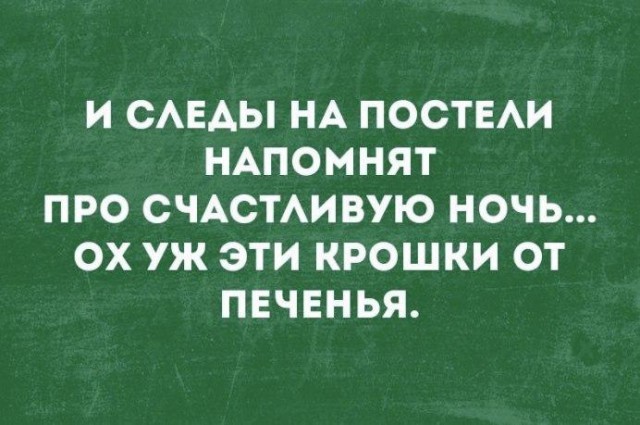 Подборка перлов и высказываний