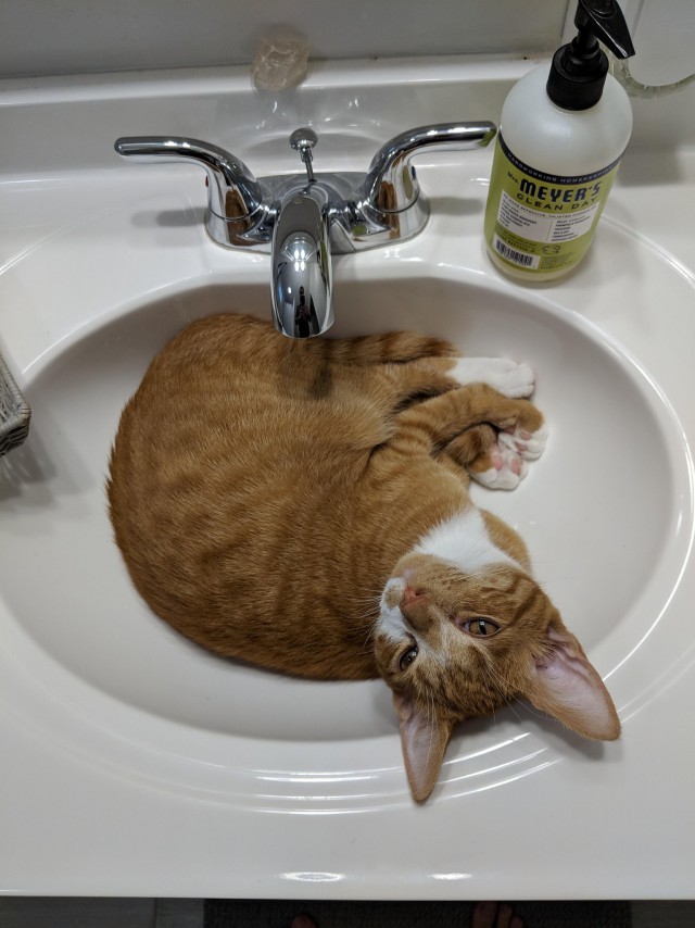 Немного милоты