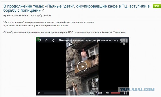 В продолжение темы: «Пьяные "дети", оккупировавшие кафе в ТЦ, вступили в борьбу с полицией»