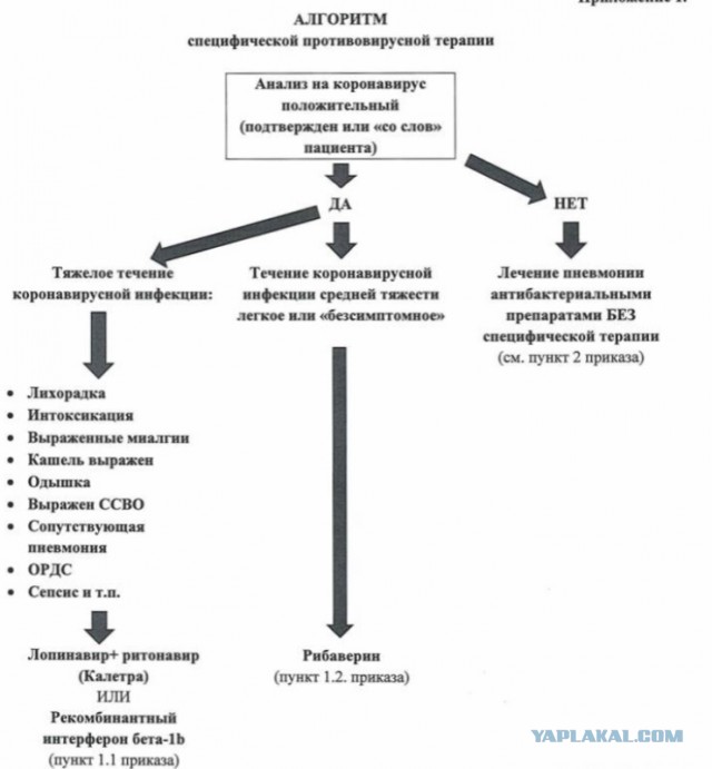Коронавирус. Россия, мир и все-все. Часть 9