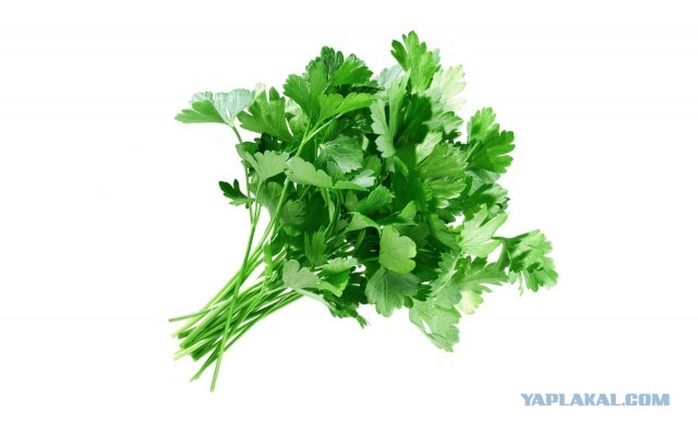 #ДРКулинарии2021 Куринария