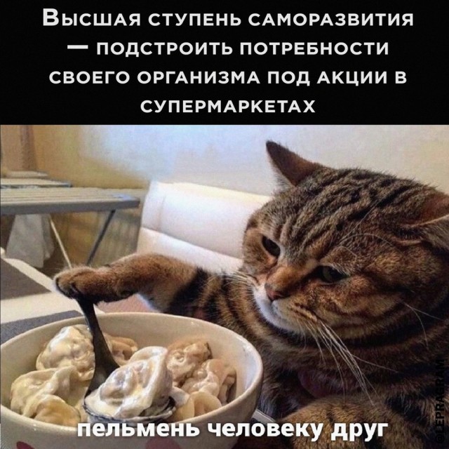 Воскресные Кретинизмы из сети 12.09.2021