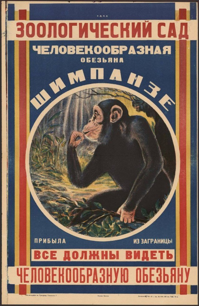 Редкие кадры и архивные снимки (22.12.2021)